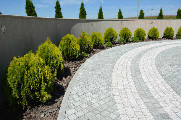 Best Local Driveway Pavers  in Tazewell, VA